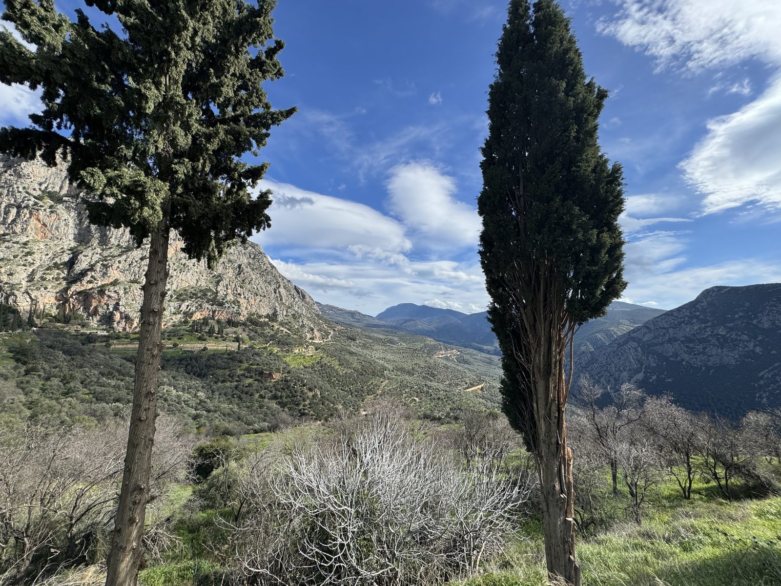 Delphi